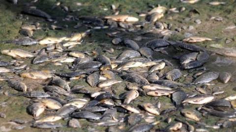 Daily-Dharaledar-Online-News-Vie