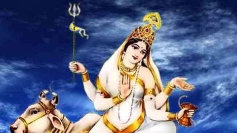 Daily-Dharaledar-Online-News-Vie