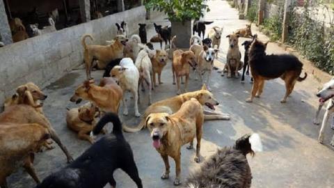 Daily-Dharaledar-Online-News-Vie