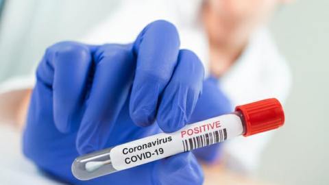 Daily-Dharaledar-Online-News-Vie