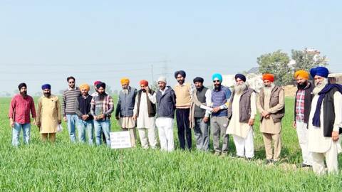 Daily-Dharaledar-Online-News-Vie