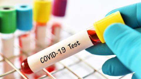 Daily-Dharaledar-Online-News-Vie