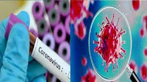 Daily-Dharaledar-Online-News-Vie