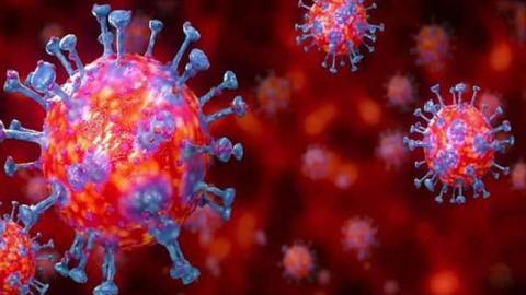 Daily-Dharaledar-Online-News-Vie