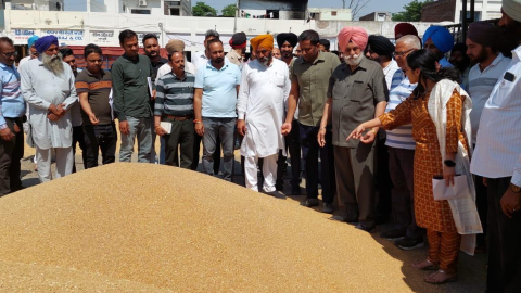 Md-Of-Markfed-Inspection-Of-The-