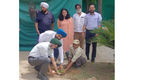 Plant-Saplings-In-Sutlej-Club