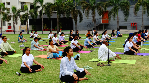 Dmc-h-Hosts-4-Day-Yoga-Camp-To-C