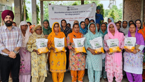 A-One-day-Training-cum-input-Pro