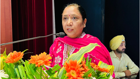 Adoption-Agencies-Will-Be-Establ