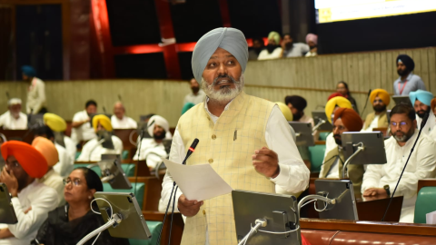 Amendment-To-The-papa-Act-1995-W