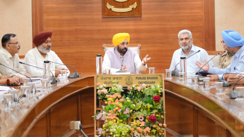 Plan-B-Prepared-For-Paddy-Millin