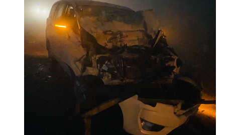 Mla-Bagha-Purana-Amritpal-Sukhan