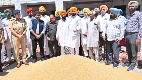 Punjab-Agricultural-