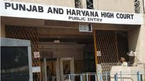 Punjab-Haryana-High-Court-Clerk-