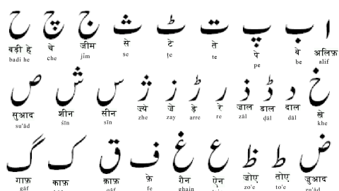 Bhasha-Vibhag-News-Urdu-Language