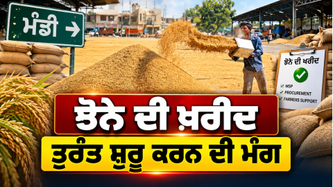 Paddy-Procurement-Punjab-Farmers