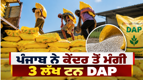 Punjab-Dap-Fertilizer-Wheat-Pota