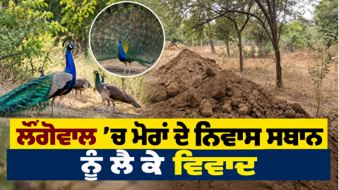Longowal-Sangrur-Punjab-News-Pea