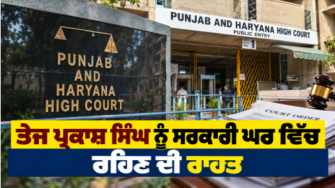 Punjab-And-Haryana-High-Court-Te
